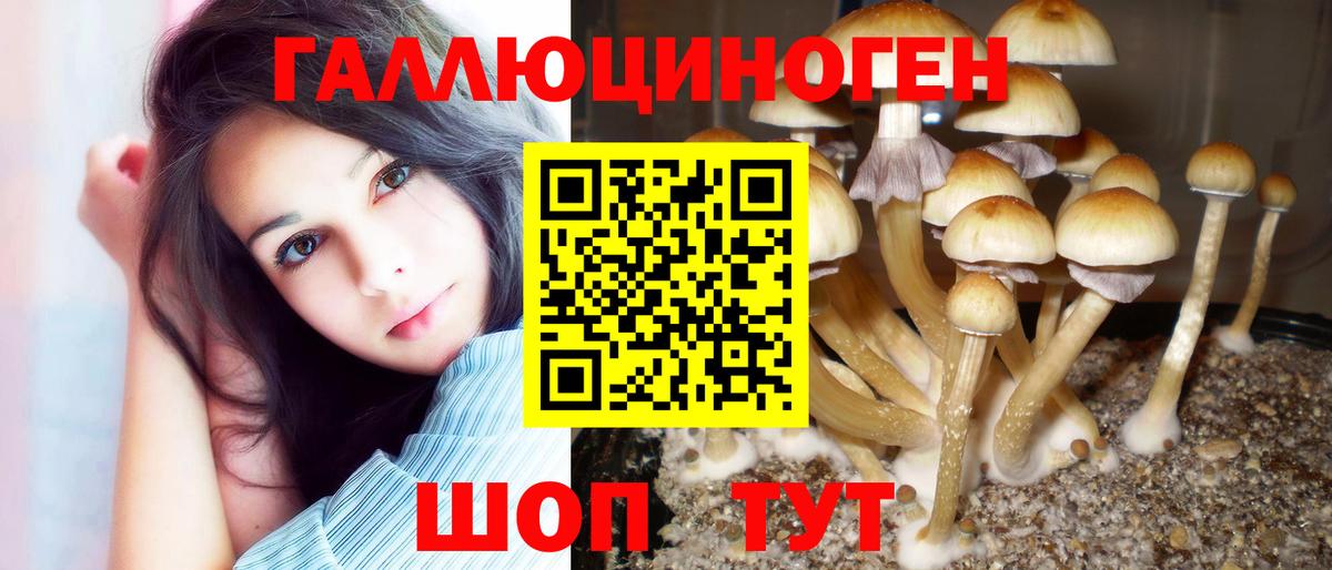 Псилоцибиновые грибы мицелий Екатеринбург