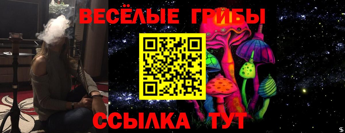 Галлюциногенные грибы мухоморы  Вход с VPN  где купить наркотик  Екатеринбург 